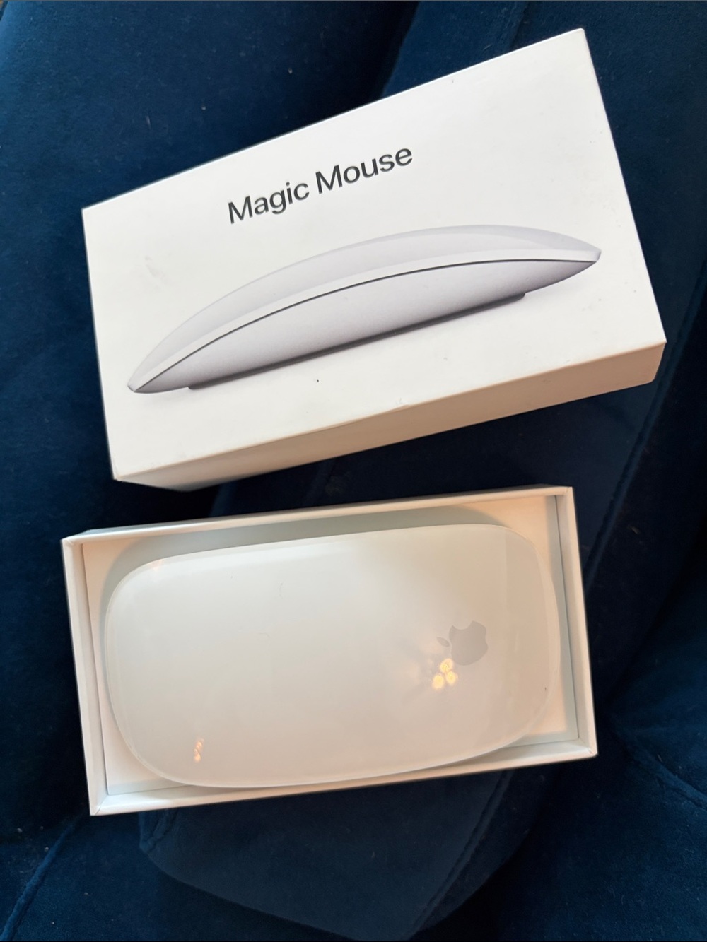 Apple Magic Mouse — White Bluetooth Multi-Touch Wireless Mouse